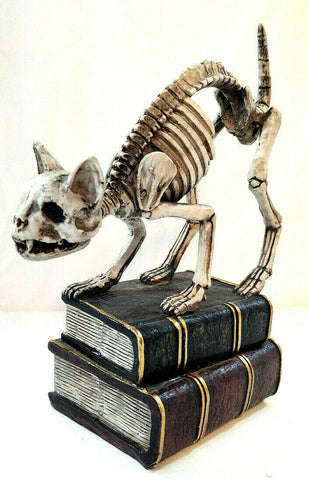 Skeleton Cat On Books Statue